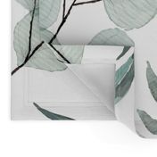 JUMBO Botanical Wallpaper Eucalyptus Native Edition 1 Large Scale Wallpaper