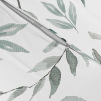 JUMBO Botanical Wallpaper Eucalyptus Native Edition 1 Large Scale Wallpaper