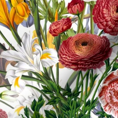 18" Pierre-Joseph Redouté - Nostalgic Iris Flowers antiqued Bouquets on white