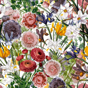 18" Pierre-Joseph Redouté - Nostalgic Iris Flowers antiqued Bouquets on white