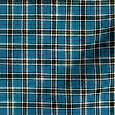 Thomson / Thompson / MacTavish tartan, 1"