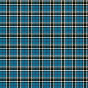 Thomson / Thompson / MacTavish tartan, 1"