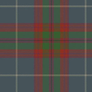 Edinburgh tartan, 6" faded