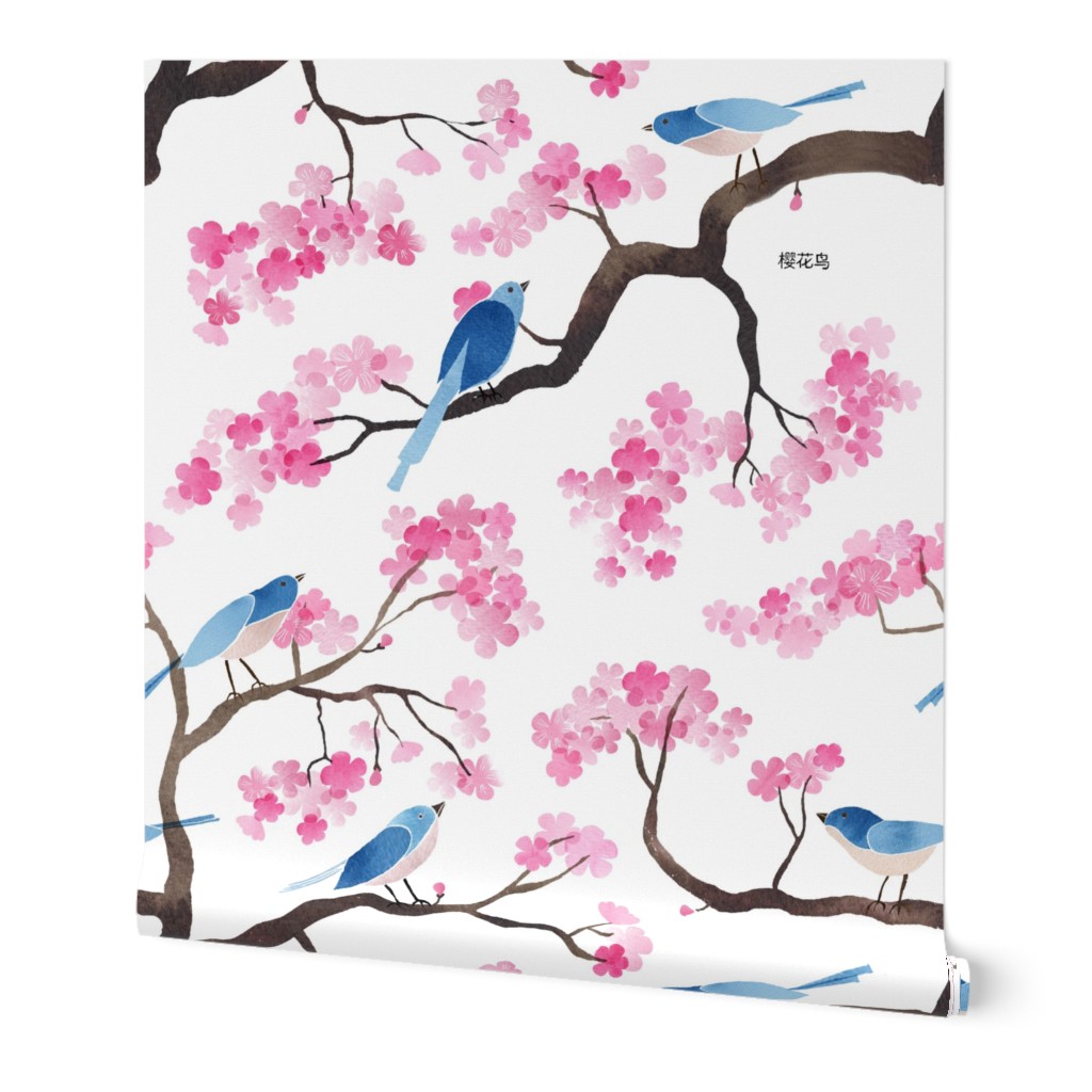 Cherry blossom birds