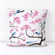 Cherry blossom birds