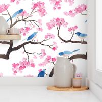 Cherry blossom birds