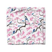 Cherry blossom birds