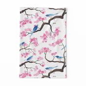 Cherry blossom birds