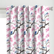 Cherry blossom birds