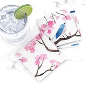 Cherry blossom birds