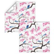 Cherry blossom birds
