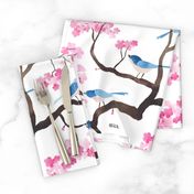 Cherry blossom birds