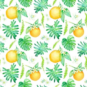 Citrus Tropics - white