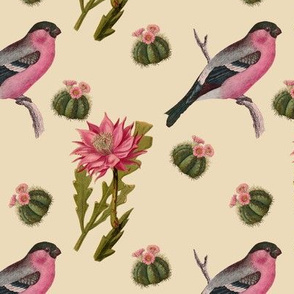 Cactus Birds on Flax | Pink Morning