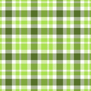 green med green plaid large(2)