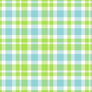  green blue plaid large(2)