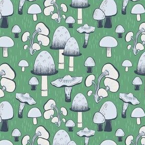 Mushrooms Everywhere