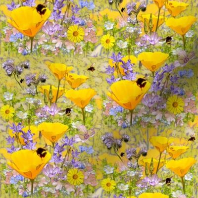 Busy Bees & California Poppies