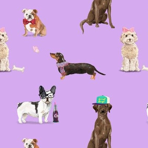 Dogs of Insta // Lavender 