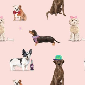 Dogs of Insta // Light Peachy Pink