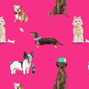 Dogs of Insta // Hot Pink