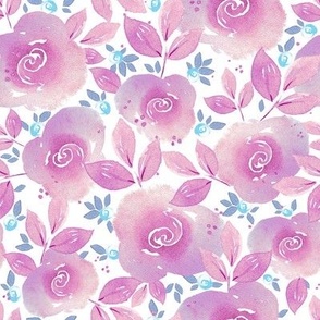 Watercolor pink roses with blueberries on a white background