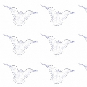 seagull pattern_1
