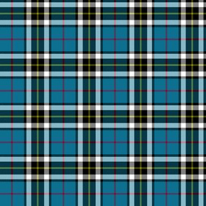 Thomson / Thompson / MacTavish tartan, 2"