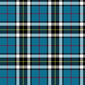 Thomson / Thompson / MacTavish tartan, 3"