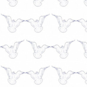 seagull pattern_2