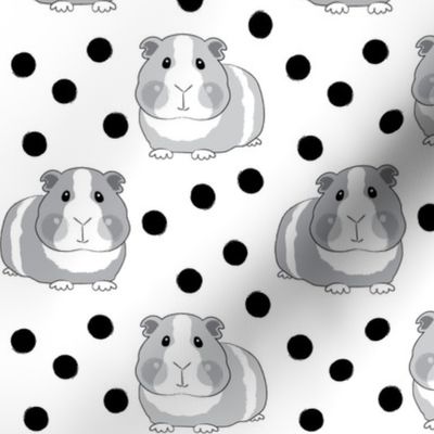 black and white guinea pigs and polka dots