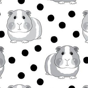 black and white guinea pigs and polka dots