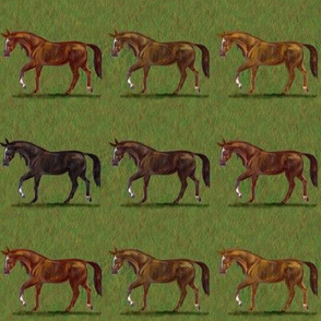 Chestnut Horses Stripe