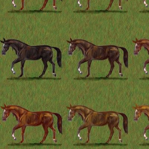 Chestnut Horses Stripe 2 wide