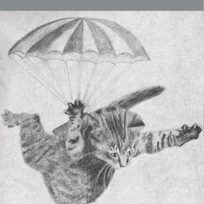 Skydiving kitten with grey border- simplified
