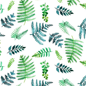 watercolor ferns