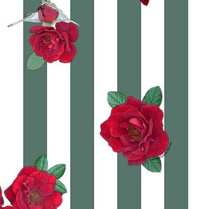 Crimson red rosebuds roses on dark sage green white stripes