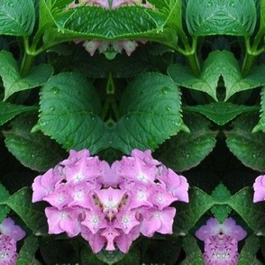 bouquets in a row