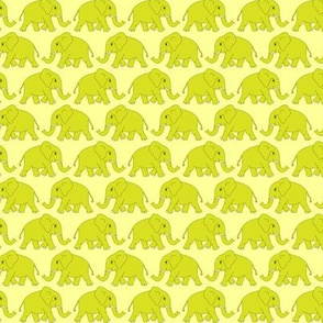 elephants walking - yellow-green