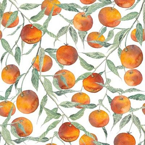 Winter Clementines