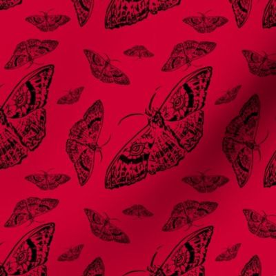 Moth Cloth (Red and Black)