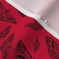 Moth Cloth (Red and Black)