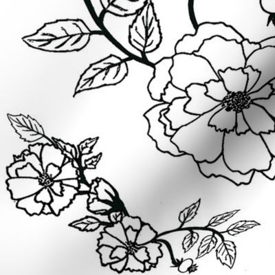 Black & White Coloring Book Roses