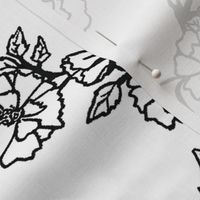 Black & White Coloring Book Roses