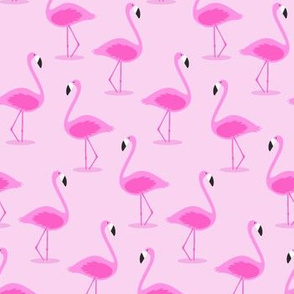 flamingos on pink