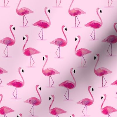 flamingos - pink watercolor 