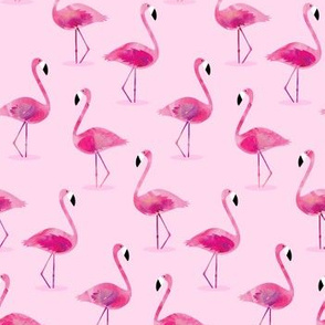 flamingos - pink watercolor 