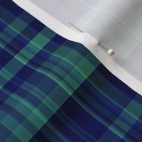 Navy and Green Madras Plaid