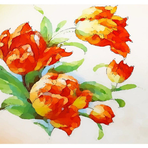 Amana tulip w frame