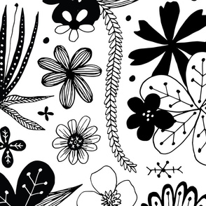 black and white flowers